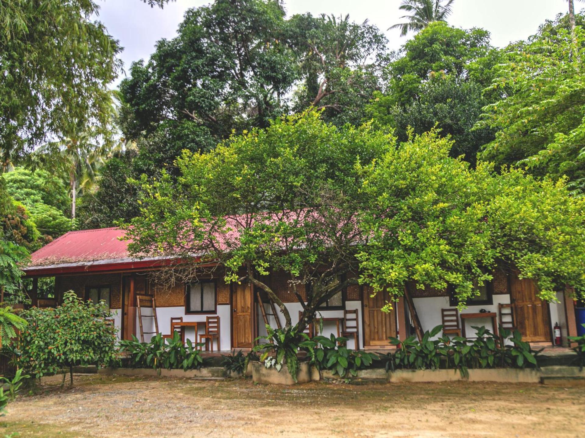 Masayana Hotel El Nido Room photo